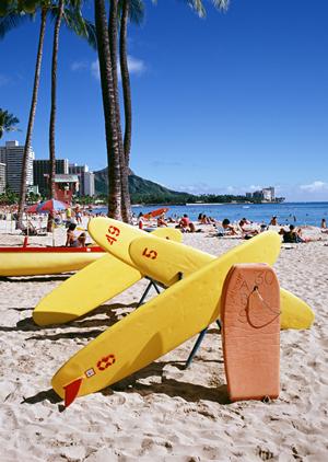 六本木で楽しめるアミューズメントポーカーの最高スポット｜ヒゲゴリラ六本木店の魅力徹底紹介