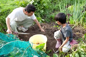 美しい沖縄の海でダイビングを楽しむ