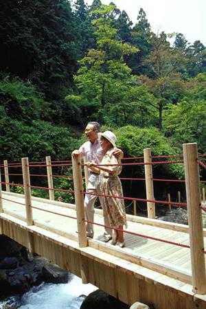 八戸駅前に位置する便利なビジネスホテル｜東横INN八戸駅前の魅力と詳細情報