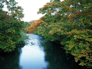 神奈川県川崎市にある東横INN武蔵中原駅前の魅力と詳細情報
