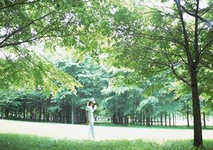 川崎駅近の快適なビジネスホテル｜東横INN川崎駅前砂子の魅力と詳細情報