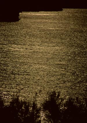 青森市の【東横INN青森駅前】｜快適な宿泊と便利なアクセスを誇るビジネスホテル詳細ガイド