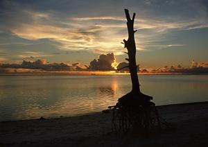 大阪・新大阪駅前の便利さと快適さを両立した東横INN新大阪東三国駅前のご紹介