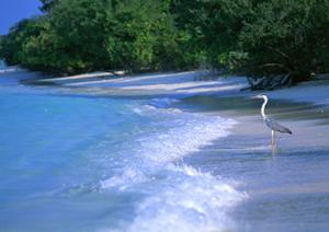 【公式情報を徹底解説】東横INN上野田原町駅：快適なビジネス・観光利用に最適なホテル