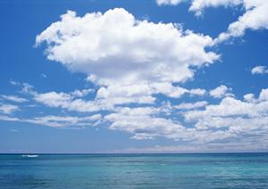 静岡市中心部の絶品日本料理を堪能！中島屋グランドホテル「日本料理四季」の魅力と詳細情報