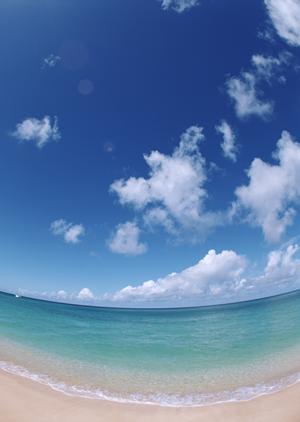 池袋エリアで快適な滞在を実現するビジネスホテル【東横INN池袋北口1】の詳細ガイド