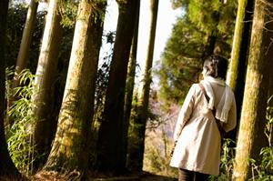 システムメンテナンスのお知らせ｜サービスの安定運用を支える重要な取り組み